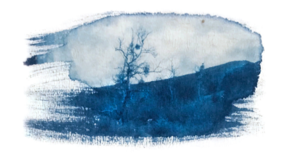 Cyanotype Printing