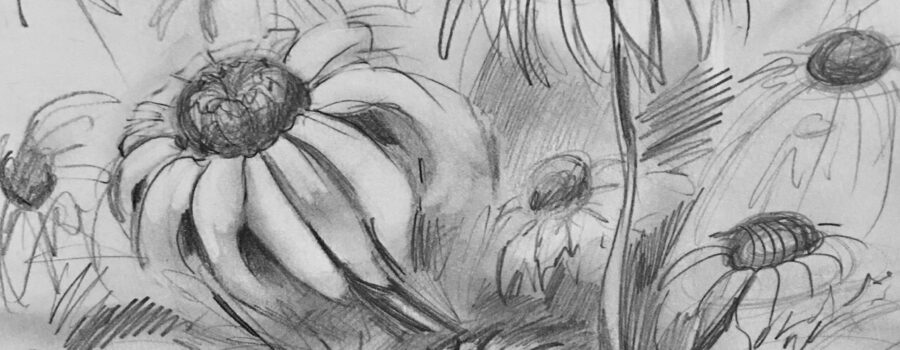 Drawing Fundamentals