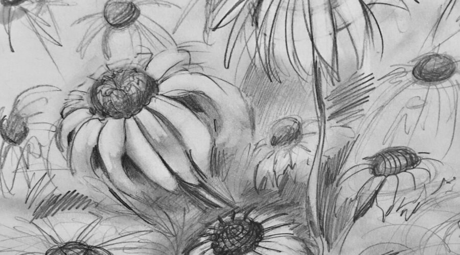 Drawing Fundamentals