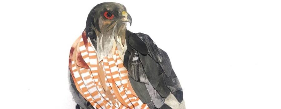 Bird Portraits in Collage and Mixed Media