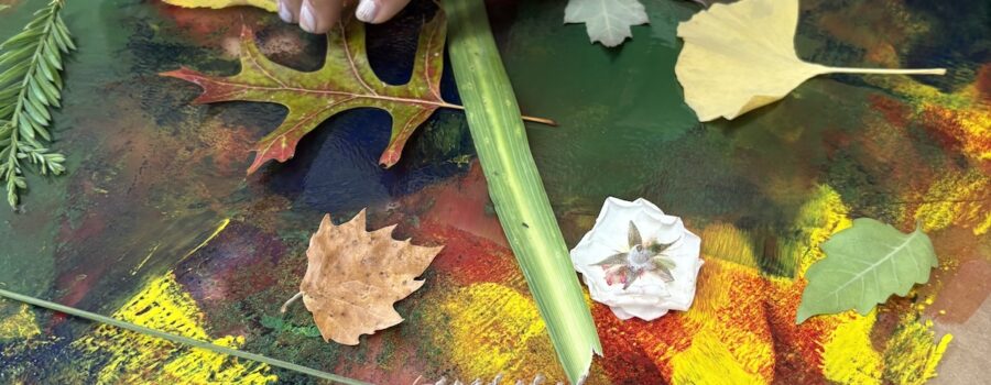 Exploring Botanical Monotypes
