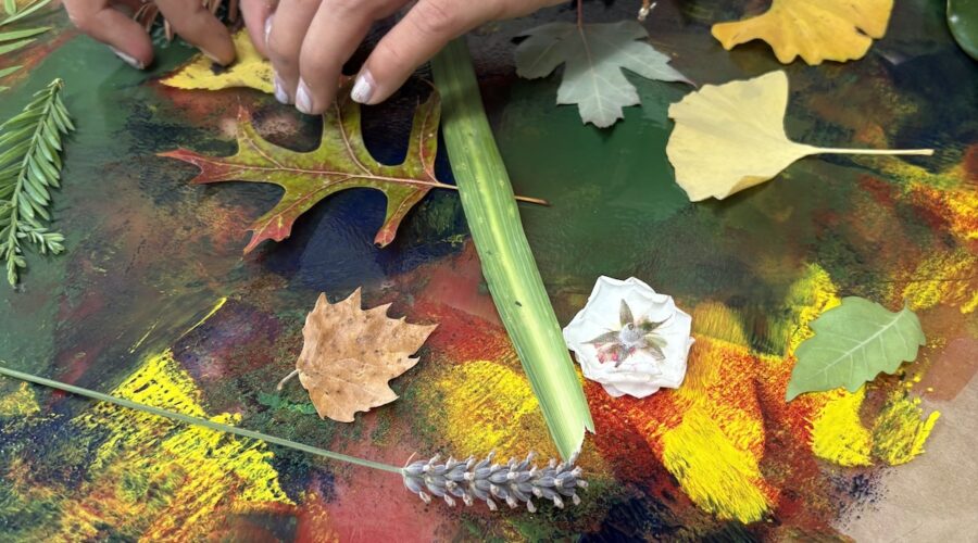 Exploring Botanical Monotypes